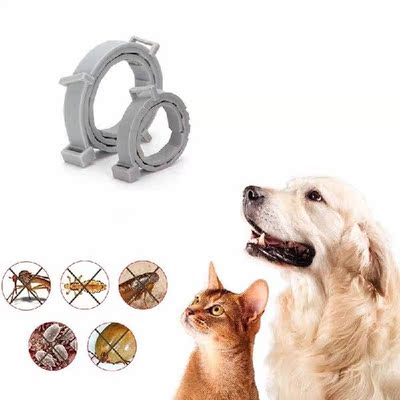 Dog Cat Collar Flea & Tick Prevention Collar for Cat