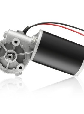 DC 24V Motor 80W 250RPM 6N.M Reversible Worm Gear Motors Hig