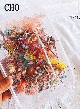 10 Kind Boxed Dried Flower DIY Accessories Dry Aromatherapy