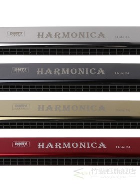 Professional 24 Hole Harmonica Key of C Mouth Metal Organ fo