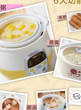 0.8L natural Cerac automatic electric Slow Cookers with Stea