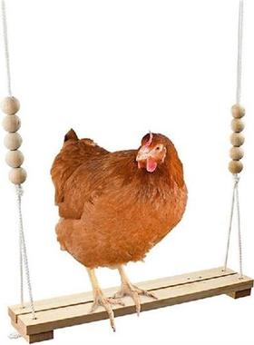 Chicken Swing Funny Toy Coop Natural Safe Wooden