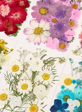 1pc DIY Dried Flowers Resin Mold Fillings UV Expoxy Flower