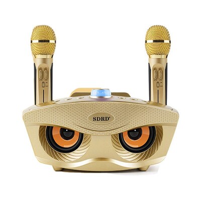 Karaoke Speaker Microphon Creative Wireless Bluetooth with O