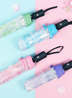 Creative Transparent Umbrella Automatic Umbrella Windproof