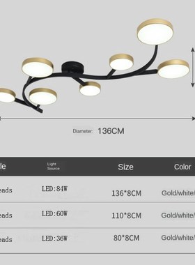 Nordic LED ceiling lamp creative personality wrought iron li