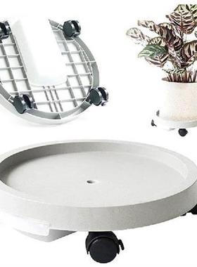 Plant Plant Saucer Pot Plant Stand Pallet With Water