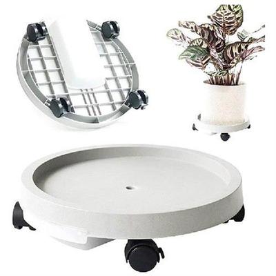 Plant Plant Saucer Pot Plant Stand Pallet With Water