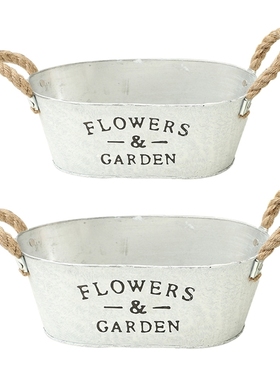 White Succulent Plant Container Rustic Bucket Flower Pot
