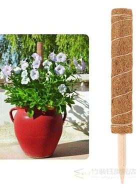 80/70/60/50CM Plant Support Coir Moss Totem Pole Coconut St