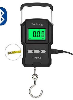 WeiHeng A27L 75kg/10g Electronic Hook Scale High Precisions