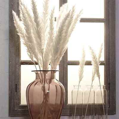 15 Pcs Dried Small Pampas Grass Phragmites Communis Decorati