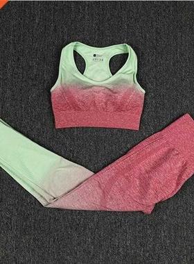 Seamless Yoga Suit Sports Set Fitness Bra High Waisted Leggi