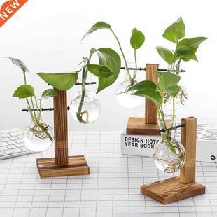 Glass and Wood Vase Planter Terrarium Table Desktop Hydropon