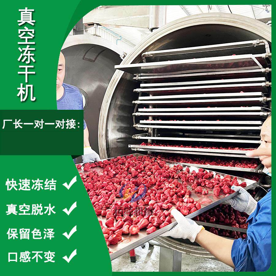 宠物粮真空冻干机芒果脆果蔬脆真空冷冻干燥PLC控制真空冻干机