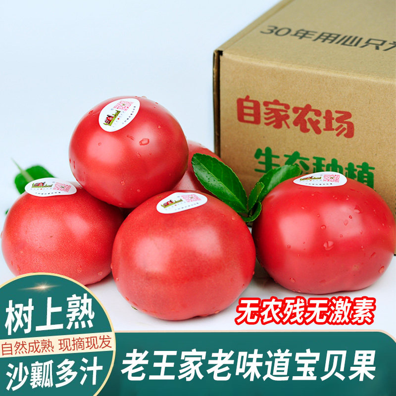 老王家老味道番茄自然熟草莓西红柿生吃儿时味道宝贝果皮软无硬芯 王皮实拍商品图