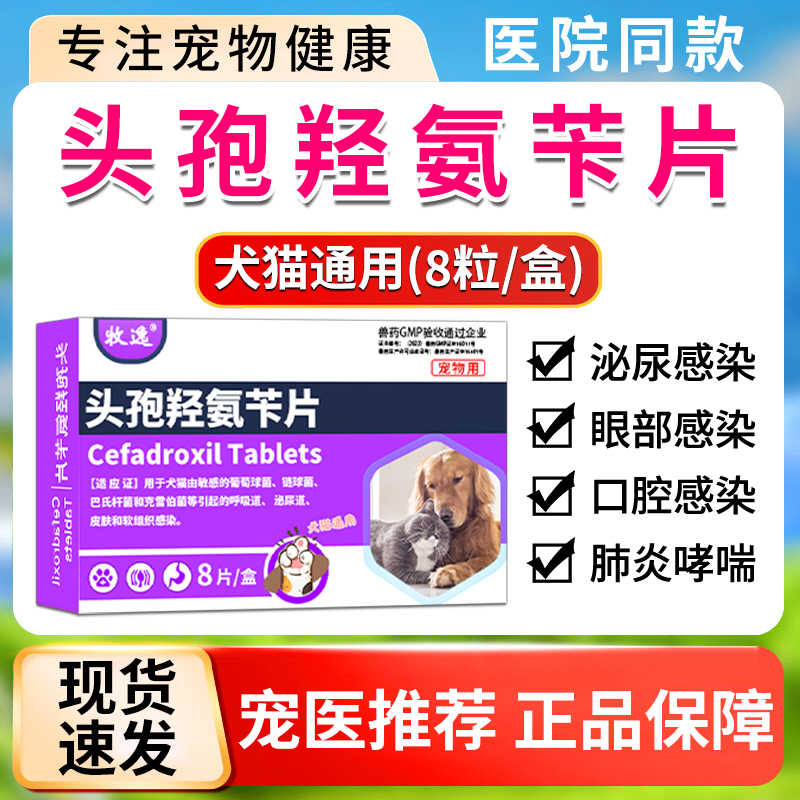 宠物头孢兽药感冒发烧抗菌消炎
