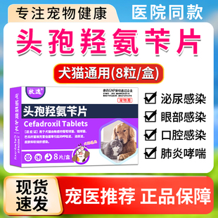 牧逸狗狗消炎药头孢羟氨苄片猫咪发烧咳嗽感染抗菌消炎宠物感冒药