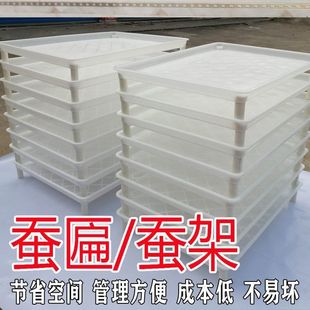 养蚕用具蚕具蚕箔共育盒蚕匾塑料蚕箔饲养筐小蚕共育盒大蚕饲养i.