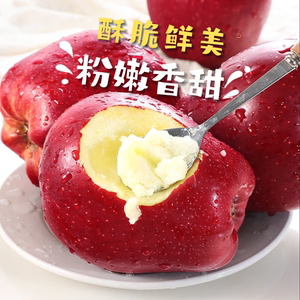 甘肃天水花牛苹果10斤新鲜现摘红蛇粉面果平安果宝宝辅食水果预售