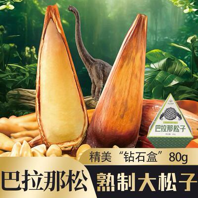 云南巴拉那松子拇指大松子云南大松子巴西松子巴拉纳松80g/100g