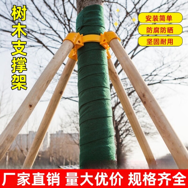 树木支撑固定器杉木松木杨木棍防风工程支撑架杆稳定支架园林绿化