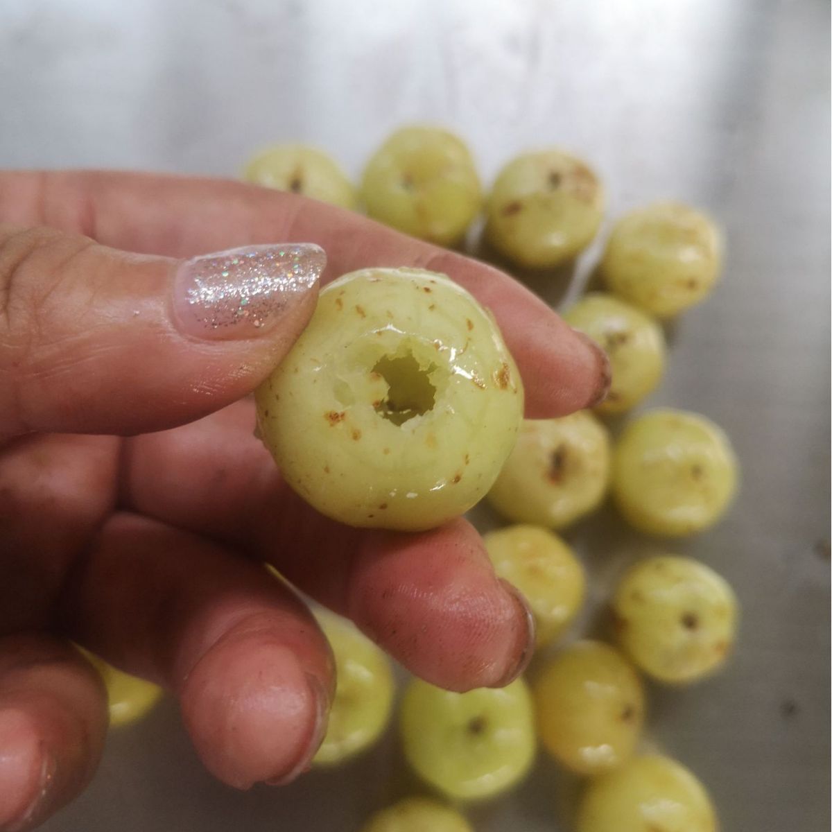 广达步步兴小型油柑去核机 余甘子去核设备 半自动加工设备机器