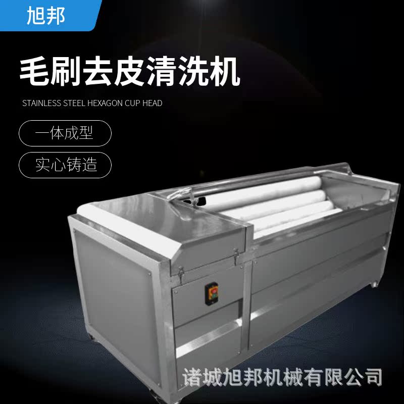 大型莴苣莴笋去皮清洗设备 芦笋梅菜去泥沙毛辊清洗机 果蔬清洗机