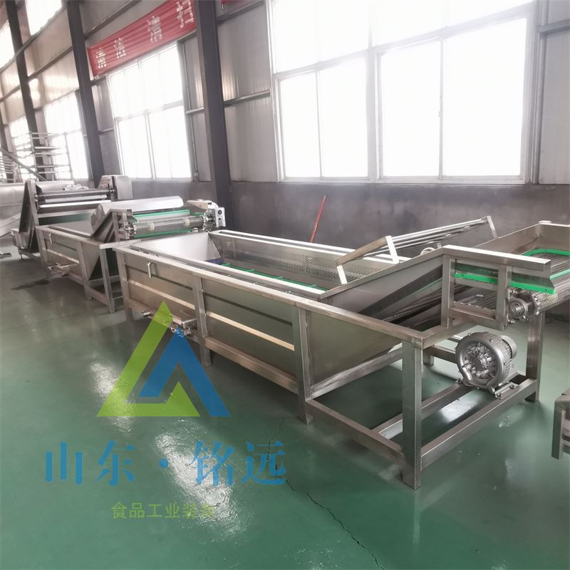 茄子黄瓜气泡水浴式清洗机茼蒿气泡清洗机白菜莴笋气泡清洗机商用