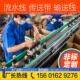 玻璃瓶传送带输送机设备酱油包装 分拣工作台上海不锈钢链板输送线