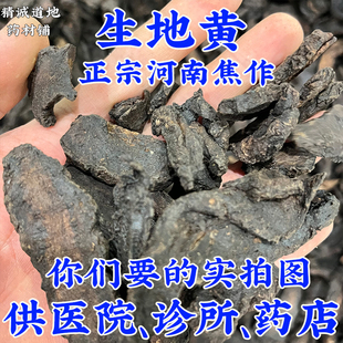 禹州中药材批 发1000g焦作生地黄中药材正品 统货 另售生熟地黄