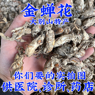 禹州中药材批 发500g金蝉花中药材正品大别山金蝉花 知了花蝉蛹草