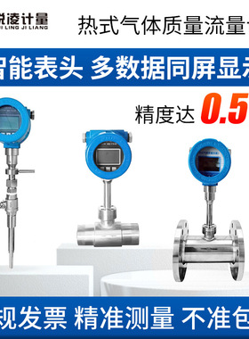 锐凌热式气体质量流量计大口径插入式管道气体流量计氮气空气烟气