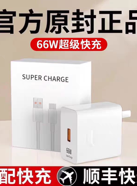 正品适用科大讯飞AI学习极T20 pro 13.3寸平板电脑充电器H013300闪充电头C10快充电线J013207充电器USB数据线