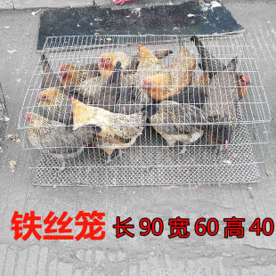 镀锌加粗加密铁丝笼鸡笼鸽子笼兔笼运输笼鸟笼小鸡笼鹌鹑笼养殖笼