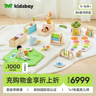 36月婴儿玩具年盒套装 kidsbay蒙氏早教盒子0 宝宝周岁礼 礼物