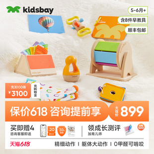 6月龄早教盒子宝宝蒙氏教具婴儿益智玩具蒙特梭利礼物 kidsbay5