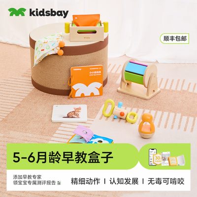 kidsbay5-6月龄盒+年盒婴儿蒙氏早教盒子宝宝实木玩具教具见面礼