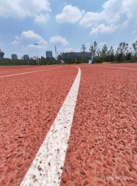 ep跑dm颗粒学校操场场球身硅PU厂018家小区公园健步道橡胶颗粒塑