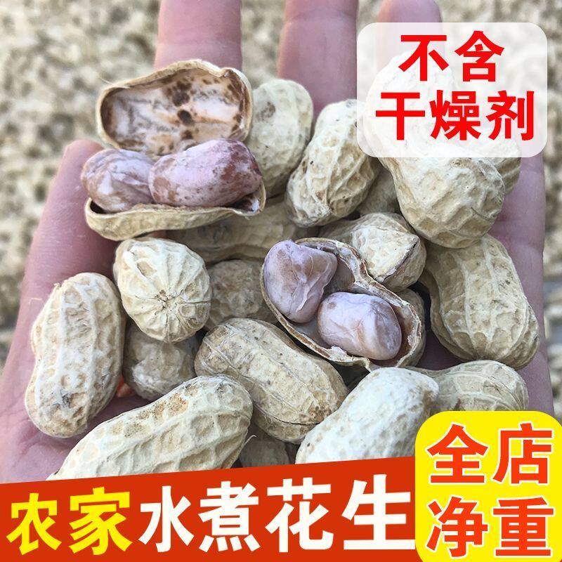 新龙岩水煮花生白晒干盐水煮咸干湿烤500gx2袋装散带壳熟零食特产