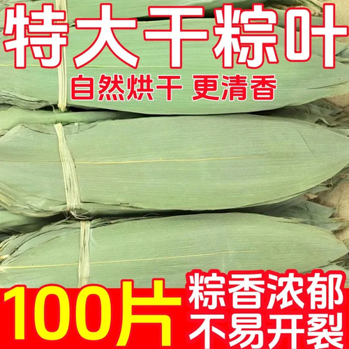 粽叶新鲜粽子页农家现摘天然包干粽子叶的大小叶子端午粽子叶