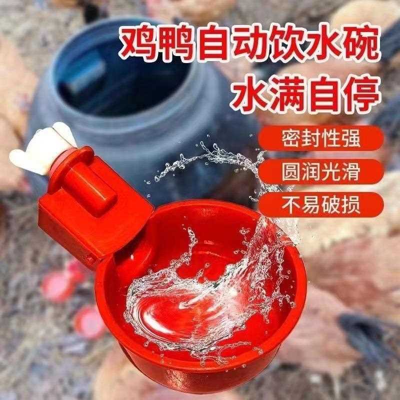 家禽自动饮水器鸡鸭鹅自动水碗喂水器鸽子鸡饮水器养鸡专用饮水碗
