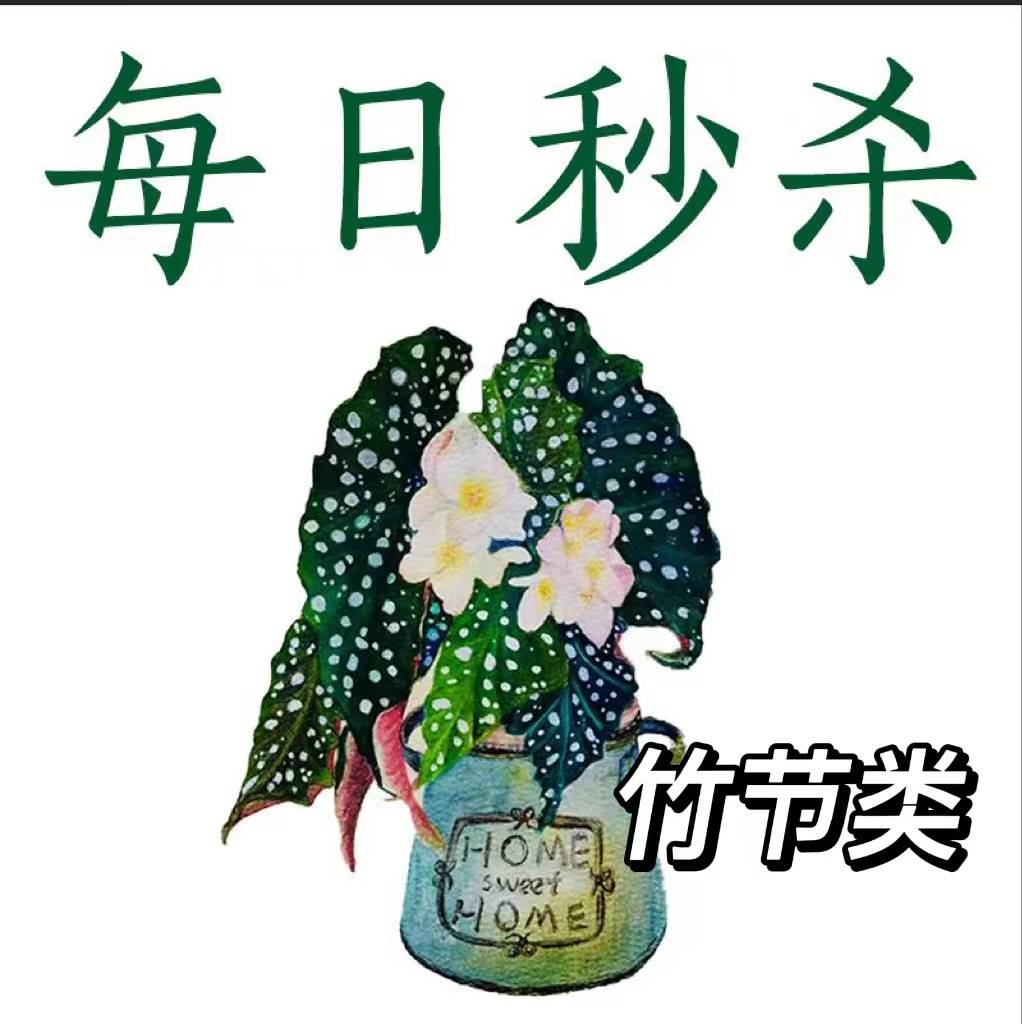 每日秒杀竹节类秋海棠王先森的花园