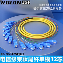 FC光纤线圆头方头尾纤 SC单模束状尾纤跳纤FC圆头光纤跳线束状尾缆 12芯小方头束状尾纤SC 武纤