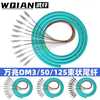 武纤 万兆om3电信级50/125LC FC SC ST12芯束状尾纤OM4万兆多模OM3光纤跳线束状尾纤熔接5G机房尾纤