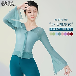 舞蹈服古典舞服装 飘逸纱衣身韵练功服仙气中国舞基训艺考网纱上衣