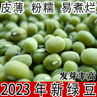 发芽绿豆汤2023新货特级优质新鲜毛绿豆 绿豆3斤山东农家自种能生