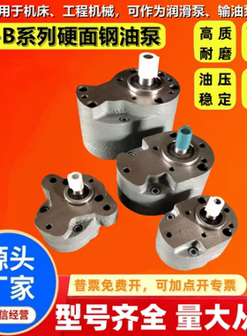 CB-B10/B6/B4/B16/B25/B32/B40/B50/B63/B80/B100/B125钢齿轮油泵