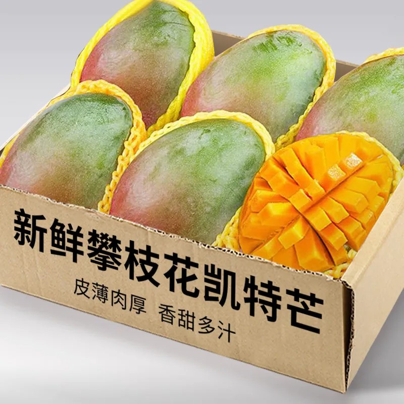 【限时疯抢】爆款凯特芒限时特价