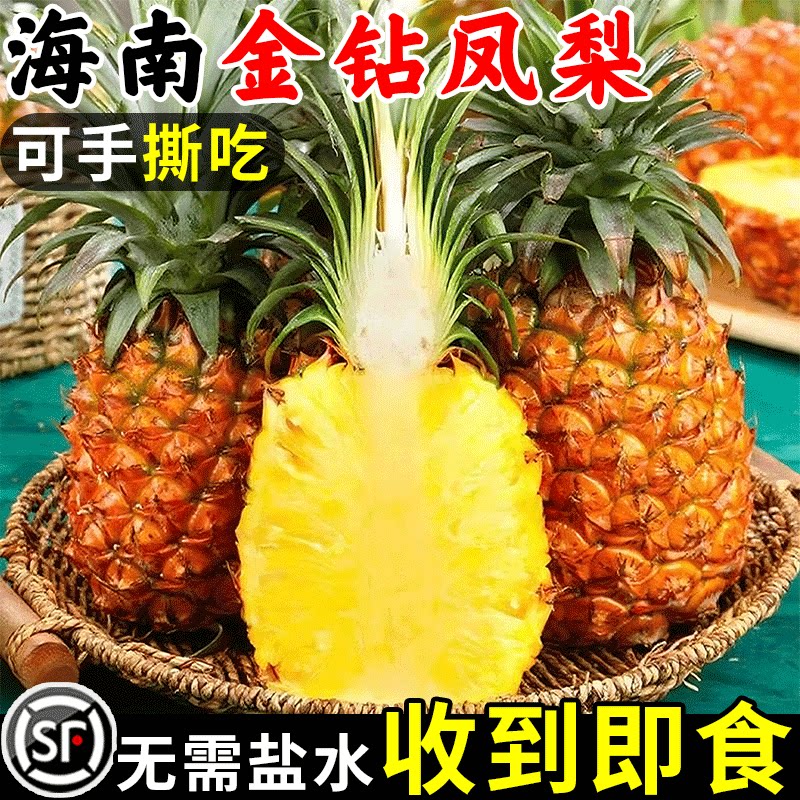 【热销】海南金钻凤梨仅限1单